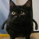 eugenio38runc's Avatar