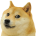 doge's Avatar